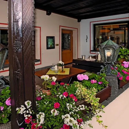 Moselhotel & Restaurant Zur Traube Gmbh 2*