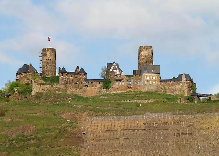 Moselhotel & Restaurant Zur Traube Gmbh Ξενοδοχείο